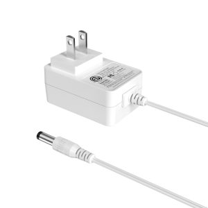 24W Compact Wall-Mounted Power Adapter
